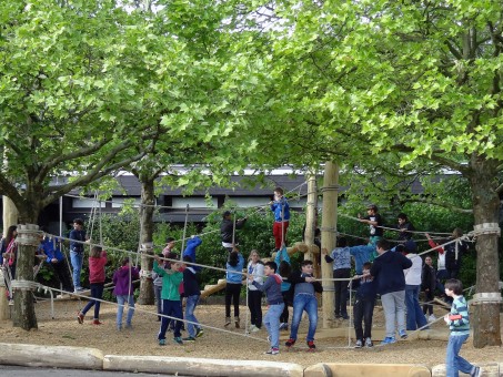 Kinder auf einem Niedrigseilgarten