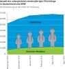 Infografik Entwicklung Anzahl