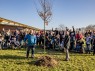 Bei schönstem Wetter pflanzten Schülerinnen und Schüler der LVR-Christoph-Schlingensief-Schule Oberhausen zusammen mit Rolf Fliß (l.) und Detlef Althoff (r.) den Baum des Jahres 2018. Foto: Georg Krause / LVR