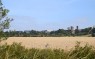 Blick auf Zülpich von Westen mit der Kurkölnischen Landesburg im Hintergrund. 