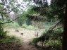 Ein Mann vermisst die Landschaft auf einer Waldlichtung
