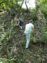 Zwei Jungen stehen an einem Hang im Wald und sammeln Müll auf.