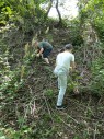 Zwei Jungen stehen an einem Hang im Wald und sammeln Müll auf.