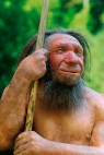 Die Rekonstruktion eines Neandertalers ist im Neanderthal-Museum Mettmann zu sehen. 