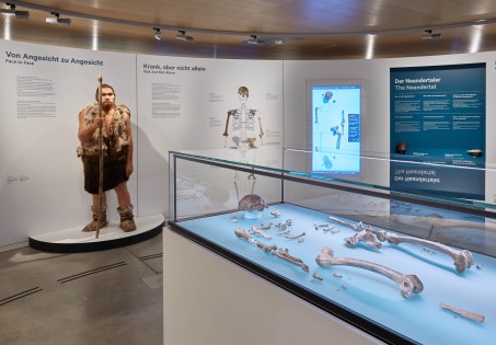 Zu sehen ist eine Glasvitrine im Vordergrund, in der die Gebeine des Neandertalers liegen. Dahinter findet sich eine Puppe, die den rekonstruierten Neandertaler so darstellt, wie er ausgesehen haben könnte.