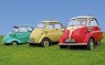 Drei Oldtimer stehen auf einer Wiese.