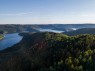 Man sieht einen Wald und darunte einen Stausee