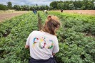 Junge Frau sitzt auf einem Feld. T-Shirt-Aufschrift: F&Ouml;J.