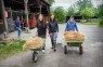 Vier junge Frauen mit zwei Schubkarren, Rechen und Mistgabel.