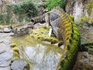 Drache in der Nibelungenhalle in Königswinter aus Stein. Auf seinem Rücken hat sich Moss gebildet. Ein Wasserbecken befindet sich vor ihm.