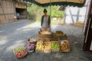 Eine Frau mit blau weiß gestreifter Schürze steht vor Körben gefüllt mit verschiedenen Apfelsorten auf einem Hof.