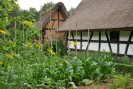 Gelbe Blumen in einem grün blühenden Garten vor zwei Häusern.