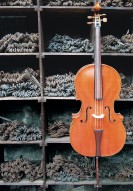 Foto: Geige vor Regal mit Scheren