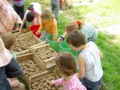 Foto: Kinder stehen an mehrerer Körben mit Kartoffeln