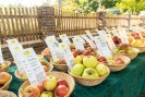 Foto: Körbe mit Äpfeln in verschiedenen Sorten