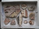 Foto: Kiste mit Fragmenten aus dem Dom