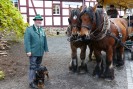 Foto: Oberforstrat Ingo Esser neben einer Pferdekutsche