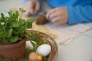 Foto: Eier in einer Schalemit Grünzeug, im Hintergrunf Kinderhände