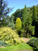Arboretum Park Härle in Bonn-Oberkassel. Foto: H. Weingartz (2006).