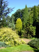 Arboretum Park Härle in Bonn-Oberkassel. Foto: H. Weingartz (2006).