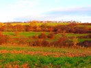 Ackerterrassen bei Glehn im Herbst.