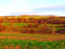 Ackerterrassen bei Glehn im Herbst.