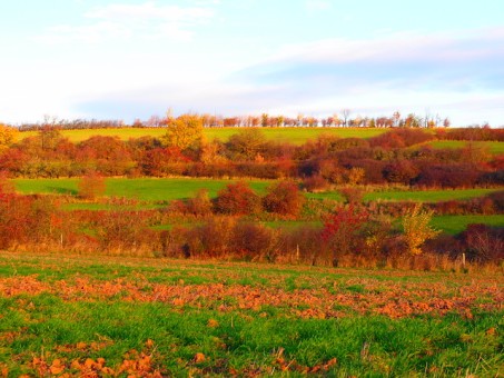 Ackerterrassen bei Glehn im Herbst.