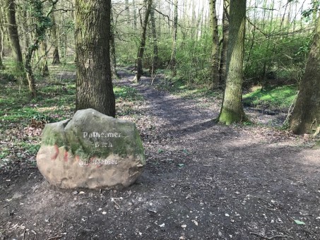 Quellgebiet des Pulheimer Baches; Foto: Nicole Schmitz, 2021