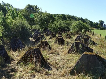 Betonhöcker des Westwalls in der Nähe von Gut Kalkhäuschen bei Aachen; Foto: Aletsee, Manfred (2017)