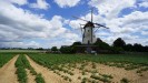 Grottenhertener Windmühle am Pfingstmühlentag 2022; Foto: Matthias Wirtz-Amling, LVR (2022)