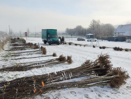 Die Laub- und Obstgehölze liegen zur Abholung bereit; Foto: Nico Wagner / LVR (2022)