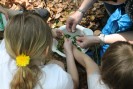 „Natur mit allen 5 Sinnen“ ein Angebot der NABU-Naturschutzstation Niederrhein für psychisch belastete Kinder; Foto: Björn Hormes