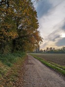 Herbststimmung im Rheinland; Foto: Dana Pfeiffer / LVR