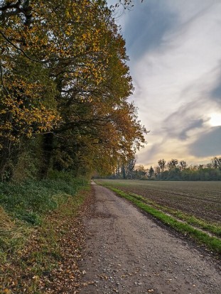 Herbststimmung im Rheinland; Foto: Dana Pfeiffer / LVR
