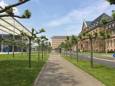 Bayer-Werk in Leverkusen, Foto: © Dr. Alexander Kierdorf