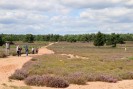 Naturschutzgebiet Mehlinger Heide, Foto: Tourismusbüro Enkenbach-Alsenborn, Borijan Radojevic