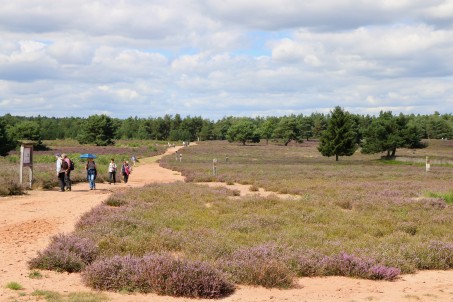 Naturschutzgebiet Mehlinger Heide, Foto: Tourismusbüro Enkenbach-Alsenborn, Borijan Radojevic