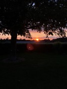 Sonnenuntergang am Niederrhein; Foto: Antonia Ahrens / LVR 2024