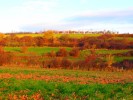 Ackerterrassen bei Glehn; Foto: © Jennifer Thelen / Biologische Station im Kreis Euskirchen e.V.