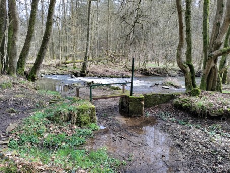 Relikte von Wehr und Schütz der Gutmühle im Bereich des ehemaligen Obergrabens; Foto:Julia König / LVR 2023