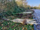 Pflanzgutauslieferung am LVR-Archäologischen Park in Xanten; Foto: Julia König 2024 / LVR
