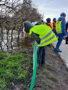 Schüler*innen helfen am „Krötenzaun“; Foto: © Celina Wicke; Biologische Station Haus Bürgel, 2023