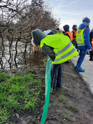 Schüler*innen helfen am „Krötenzaun“; Foto: © Celina Wicke; Biologische Station Haus Bürgel, 2023