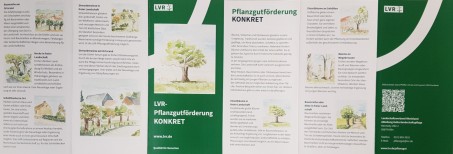 Handreichung „Pflanzgut KONKRET“; Bildnachweis: Dana Pfeiffer / Druck und Layout: LVR-Druckerei