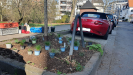 Pflanzaktion mit Unterst&uuml;tzung der engagierten Baumpat*innen (&copy; Biologische Station Haus B&uuml;rgel e. V.)