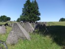 Mountainbiketour zur Schlacht im Hürtgenwald - eines von über 80 Angeboten bei Stadt-Land-Fluss 2017 (Foto: FTB-Adventures)