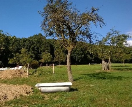 Streuobstwiese bei Lindlar (Foto: Thomas Bentler, 2016).