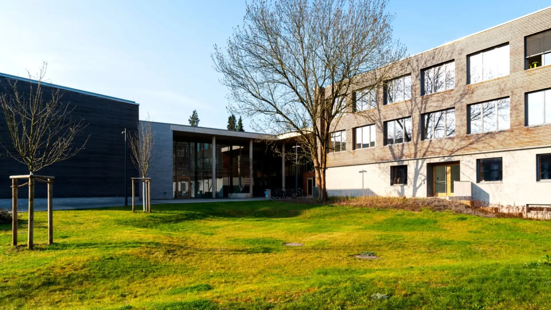 Aussenansicht der Schule mit Wiese