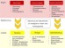 Schematische Darstellung der zugrunde liegenden Faktoren für die Arbeitsweise des Flottentools