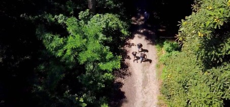 Luftaufnahme eines Wanderwegs links und rechts umgeben von B&auml;umen bei Sonnenschein, drei Personen gehen auf dem Weg